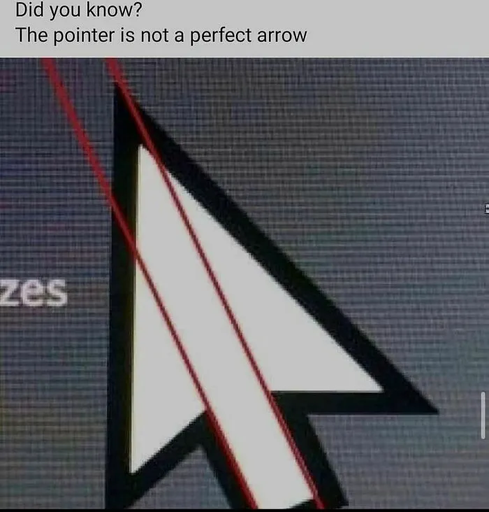 Would-Prefer-Not-To-Pics