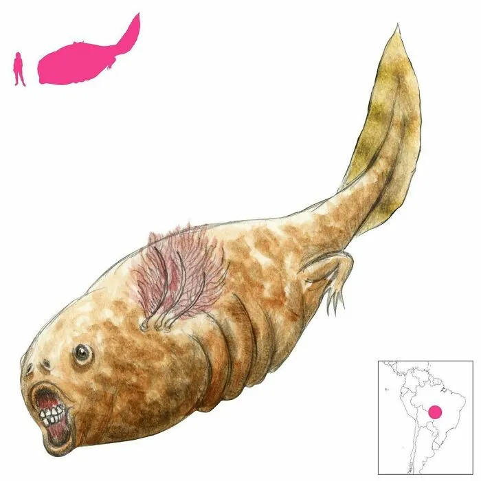 The Aíǰe Is A Spirit-Tadpole From The Folklore Of The Bororo Of Brazil And Bolivia. It Produces A Buzzing Song, And Is Itself Fond Of Good Music And Dance. A Chief Who Can Impress It With Music And Dance Will Earn Its Favor