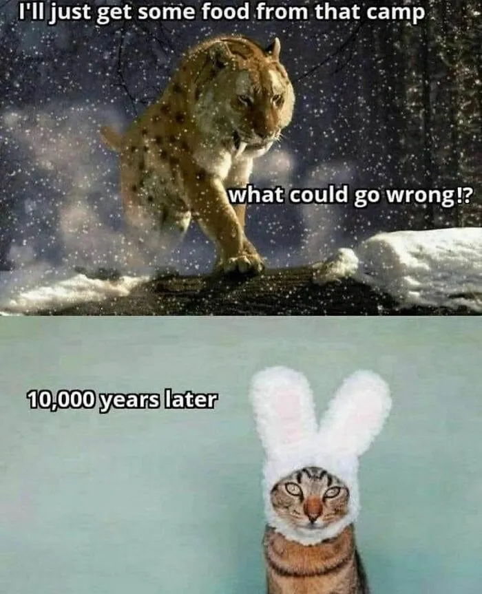 "I Would Prefer Not To": 50 Pics That Might Confuse You Or Make You Laugh