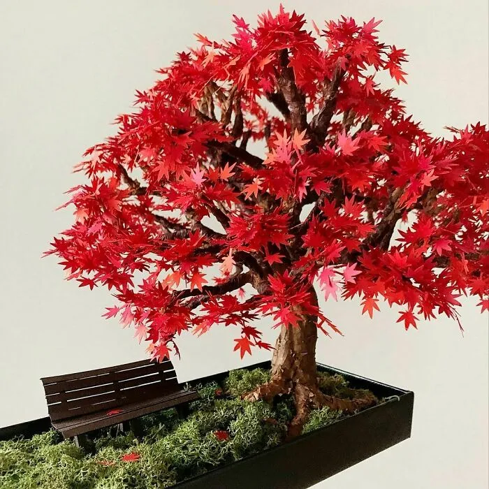 Paper Maple