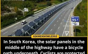 40 Interesting Facts About Practically Everything You Might Not Have Known, Shared By This Instagram Page