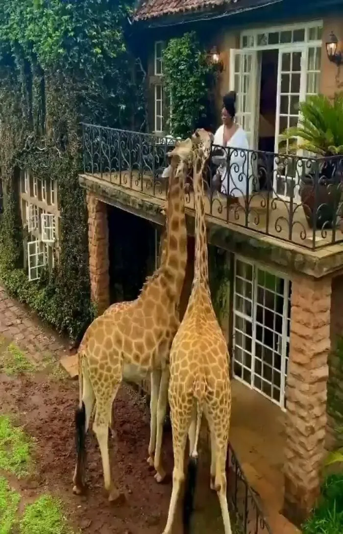 Can You Imagine Waking Up Like This?⁣