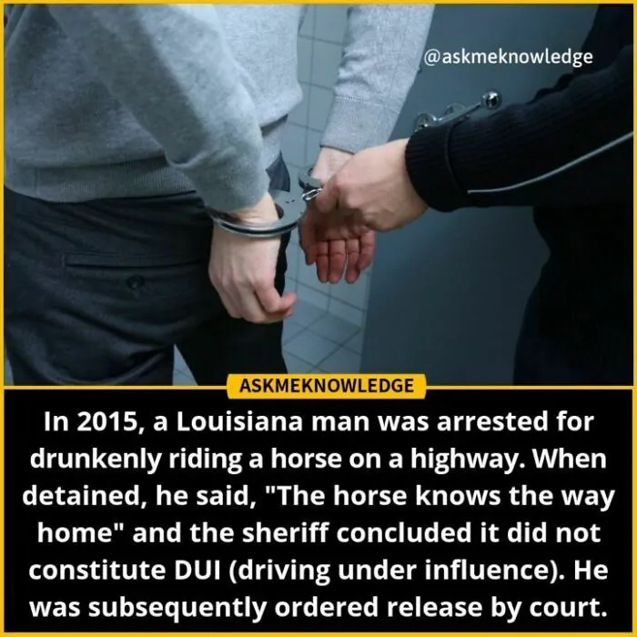 Police officer handcuffing a man; an interesting fact about a 2015 horse DUI case shared by an Instagram page.