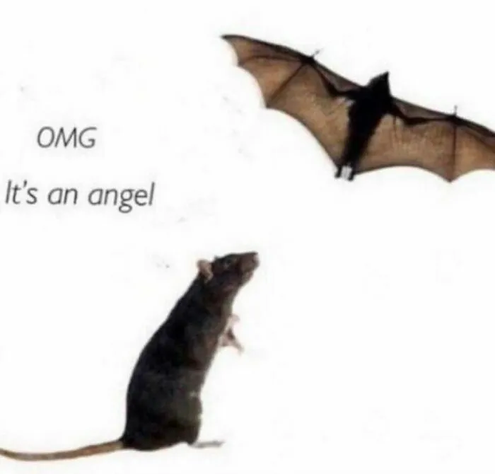 "I Would Prefer Not To": 50 Pics That Might Confuse You Or Make You Laugh