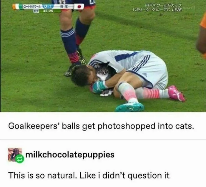 A humorous Tumblr screenshot showing a soccer goalie with a cat photoshopped onto him, a silly image.
