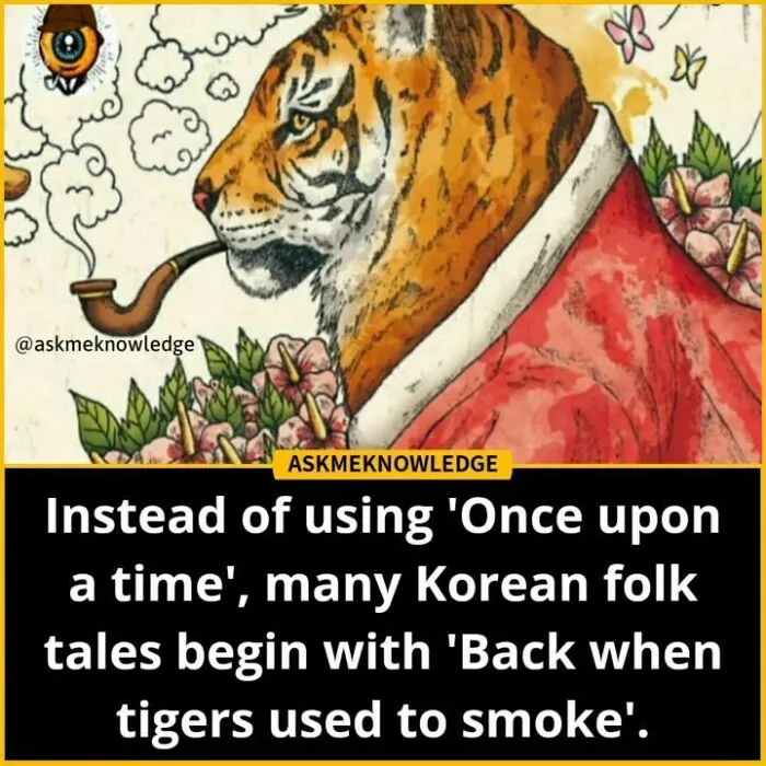 Tiger smoking a pipe, symbolizing interesting cultural facts shared by Instagram page.