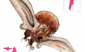 “The Ultimate Resource To Creatures Of Myths And Legends”: This Page Is Sharing How Mythical Creatures Actually Look, And They’re Both Fascinating And Spine-Chilling