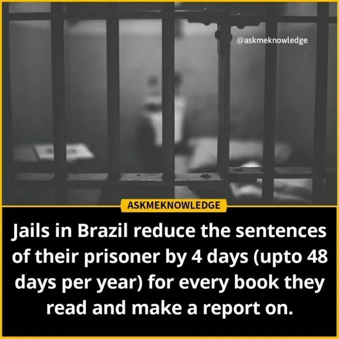 Blurred image of a jail cell with text about prison sentence reduction for reading books in Brazil; shared by an Instagram page.