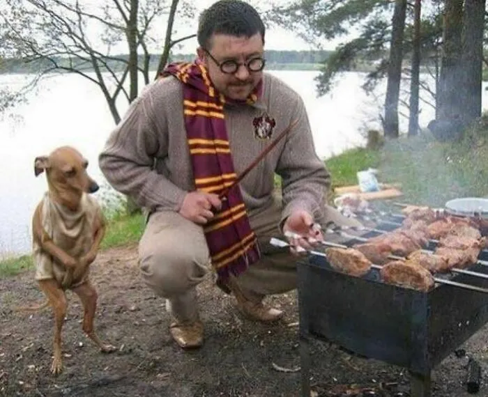 46 Animales viviendo su mejor vida y disfrutando de sus cosas (nuevas fotos)