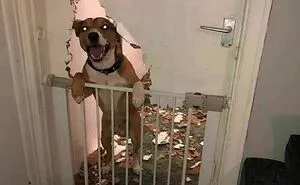 50 Times People Spotted Animals Doing Their Usual Stuff And Just Had To Take Pics (New Pics)