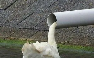 50 Times People Spotted Animals Doing Their Usual Stuff And Just Had To Take Pics (New Pics)