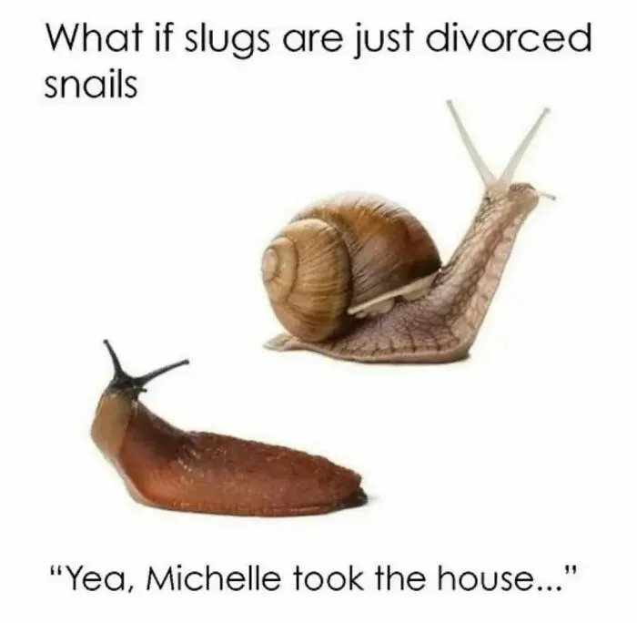 "I Would Prefer Not To": 50 Pics That Might Confuse You Or Make You Laugh