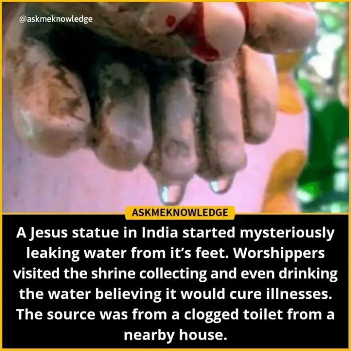 40 Interesting Facts About Practically Everything You Might Not Have Known, Shared By This Instagram Page