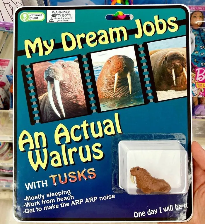 40 Hilariously Bizarre Fake Products Left In Real Stores By ‘Obvious Plant’ (New Pics)