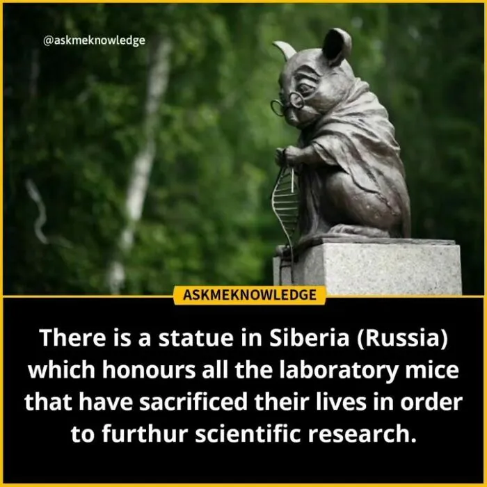 40 Interesting Facts About Practically Everything You Might Not Have Known, Shared By This Instagram Page