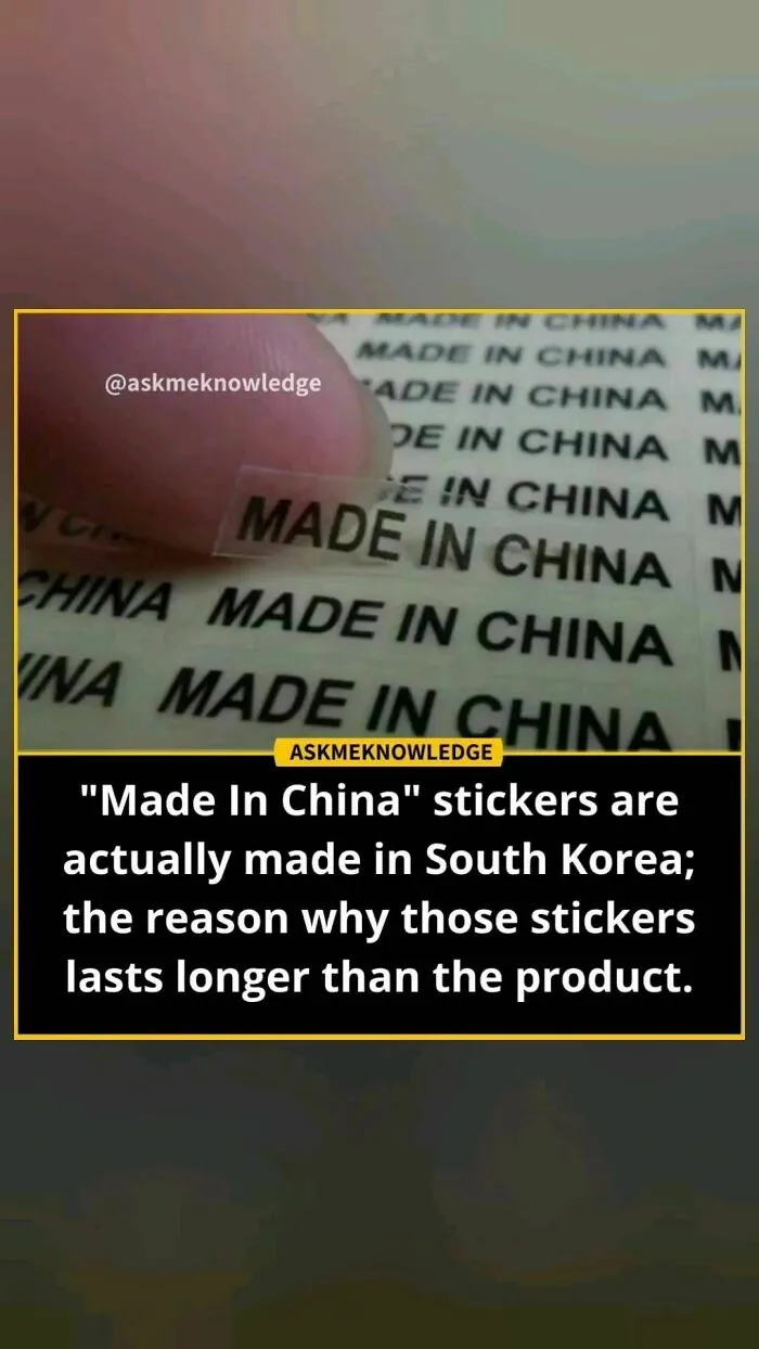 “Made in China” sticker being examined, revealing an interesting fact; focus on surprising origins.
