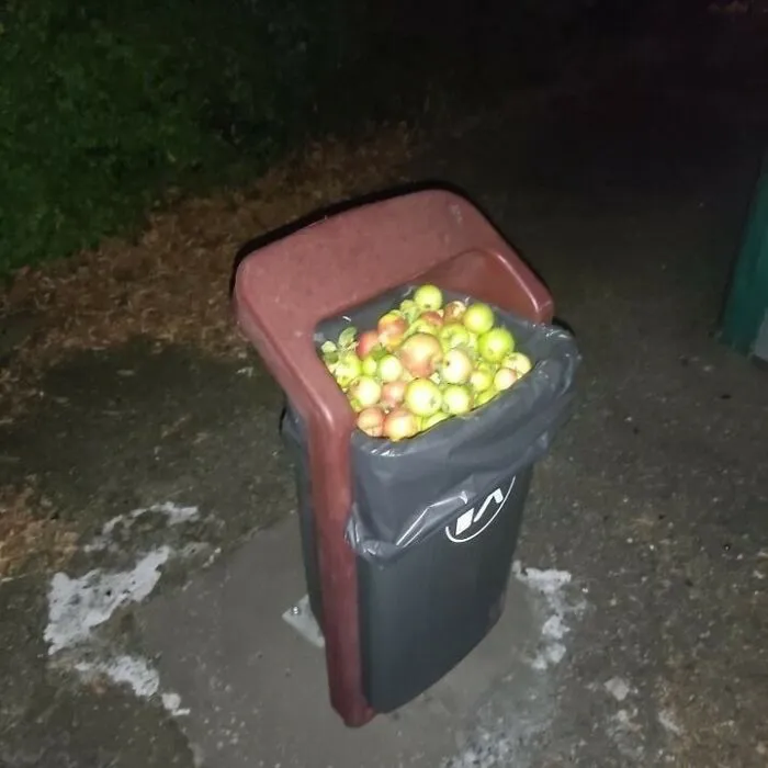 This Instagram Account Is Dedicated To "Cursed" Content, And Here Are 50 Of Their Most Baffling Posts