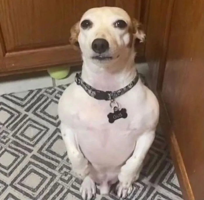 This Instagram Account Is Dedicated To "Cursed" Content, And Here Are 50 Of Their Most Baffling Posts