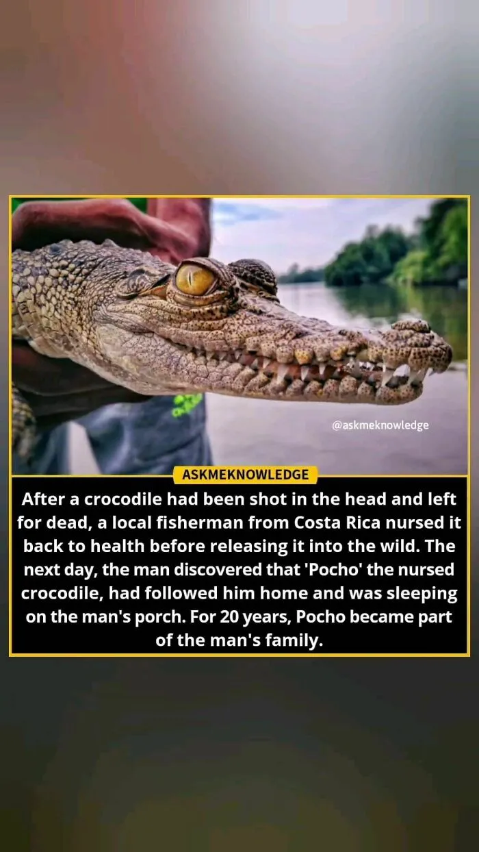 40 Interesting Facts About Practically Everything You Might Not Have Known, Shared By This Instagram Page