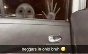 This Instagram Account Is Dedicated To "Cursed" Content, And Here Are 50 Of Their Most Baffling Posts