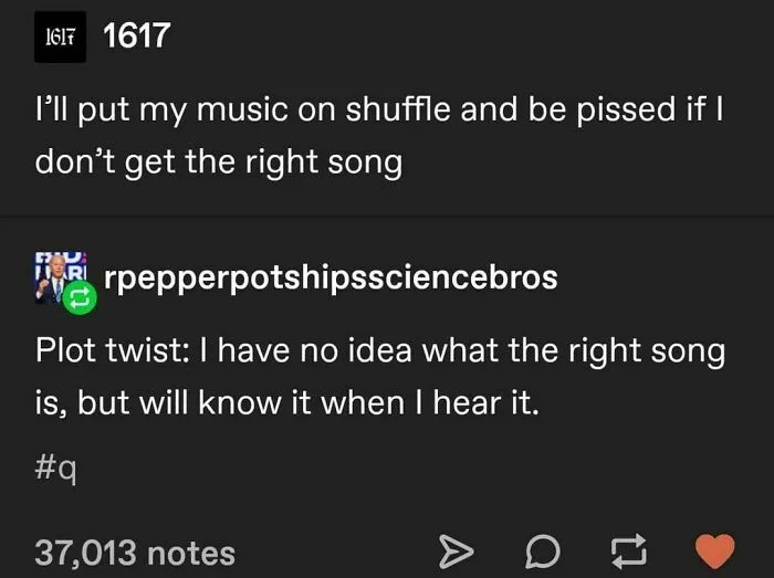 Hilarious screenshots from Tumblr feature a user saying they are annoyed if the wrong song plays on shuffle.