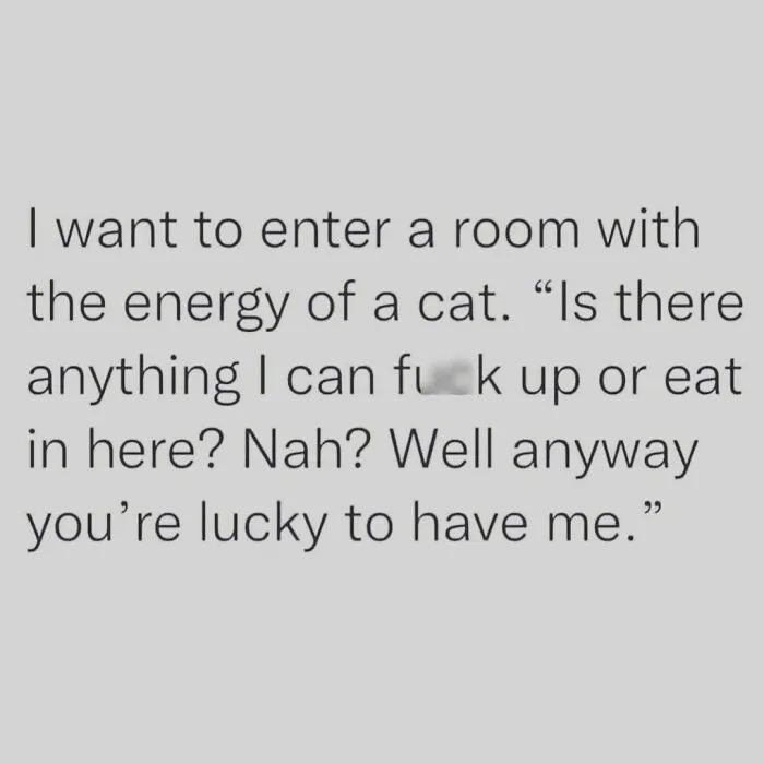 50 Funny Unfiltered Posts Of What Women Are Really Thinking From “Moms Behaving Badly” (New Pics)