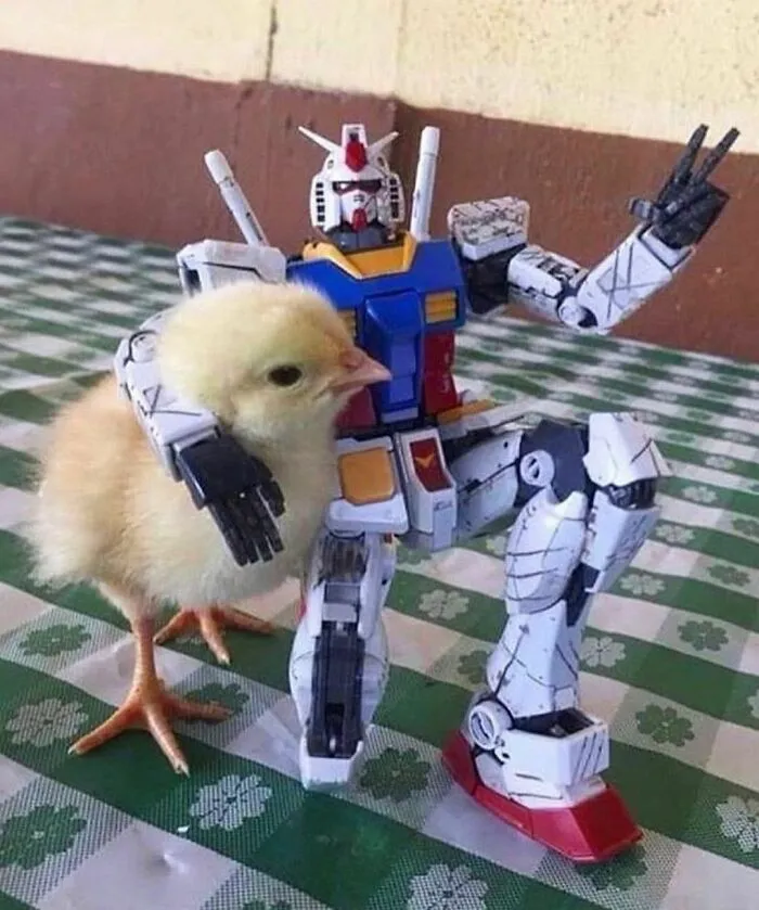 50 Times People Spotted Animals Doing Their Usual Stuff And Just Had To Take Pics (New Pics)