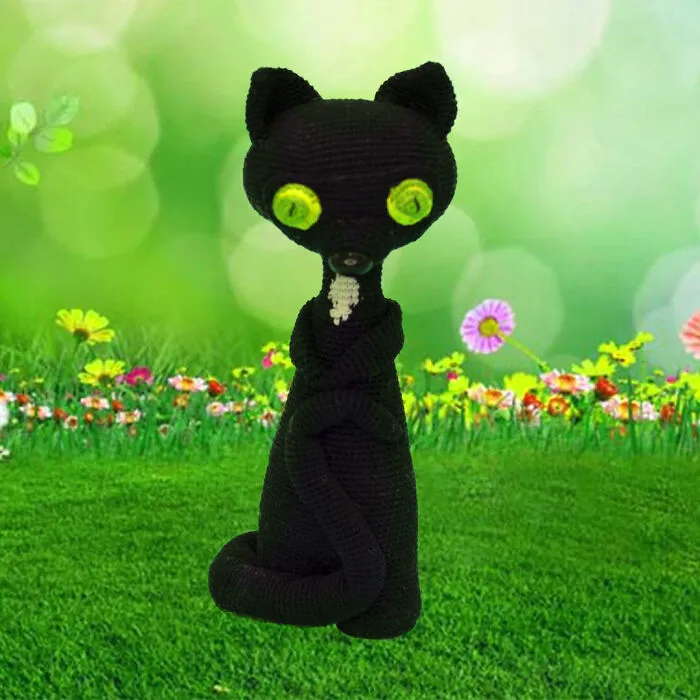 Black Cat