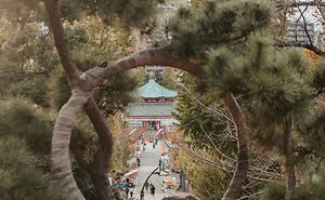 My Personal Journey Through Tokyo: 26 Unforgettable Moments I Captured While Exploring Japan's Capital