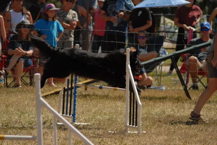 Agility Jump