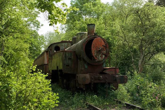 Ghostly Remains: I Took 15 Pictures Of Abandoned Trains