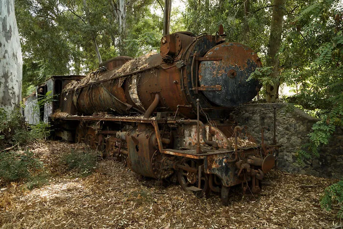 Ghostly Remains: I Took 15 Pictures Of Abandoned Trains