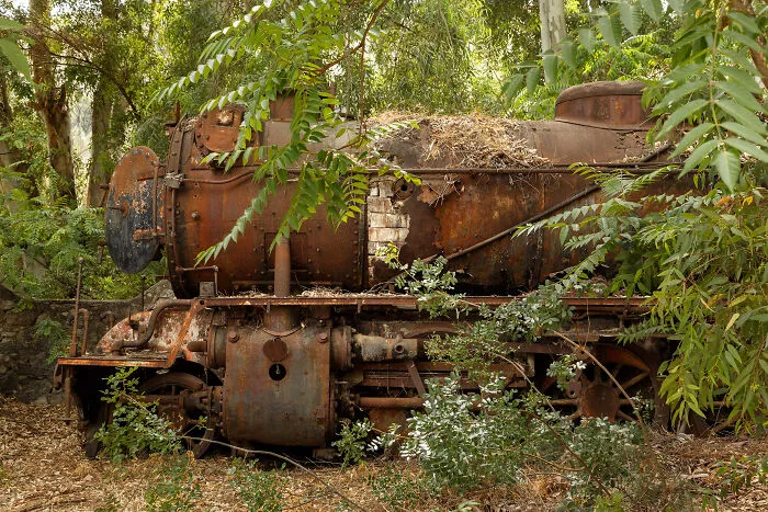 Ghostly Remains: I Took 15 Pictures Of Abandoned Trains