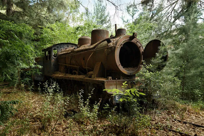 Ghostly Remains: I Took 15 Pictures Of Abandoned Trains