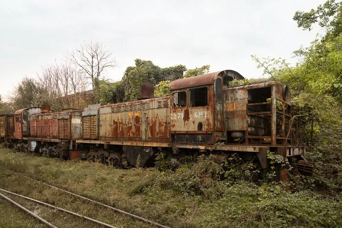 Ghostly Remains: I Took 15 Pictures Of Abandoned Trains