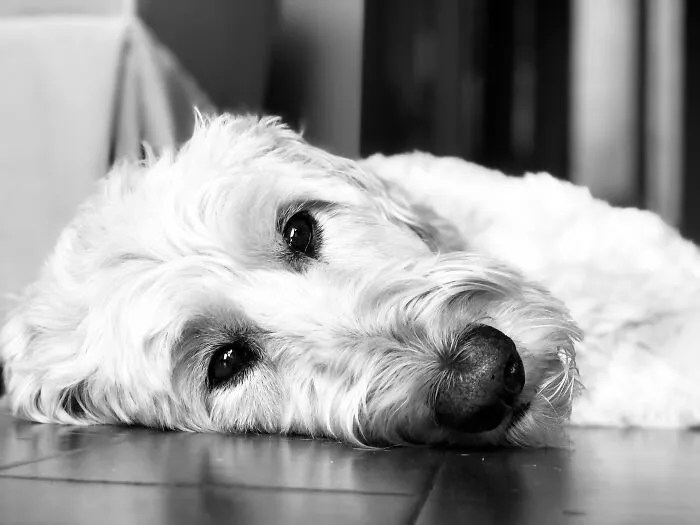 The Essence Of Exhaustion