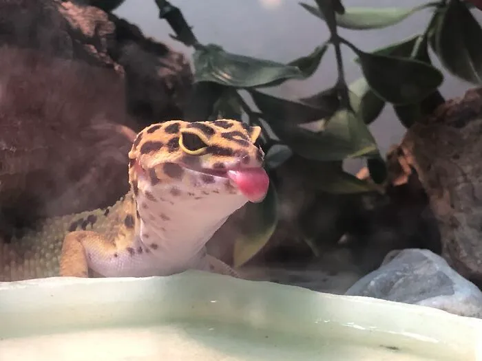 Her Name Is Olly, And She Loves To Do This