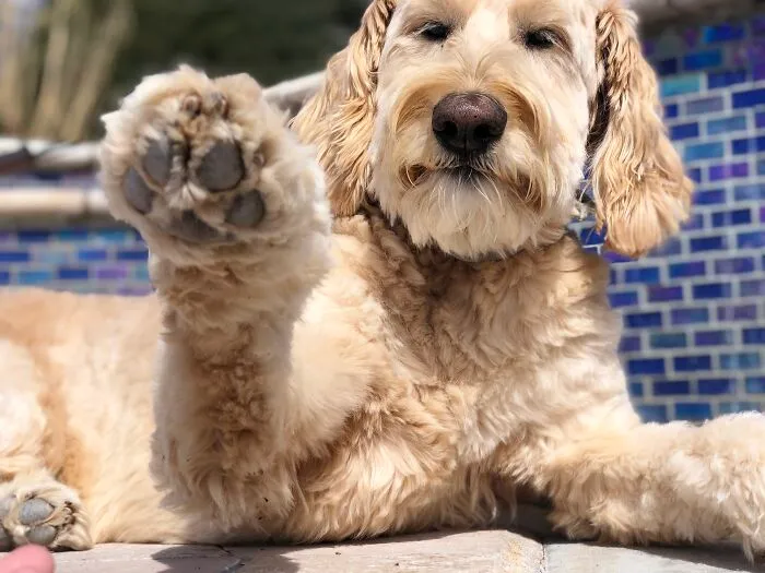 High Five!