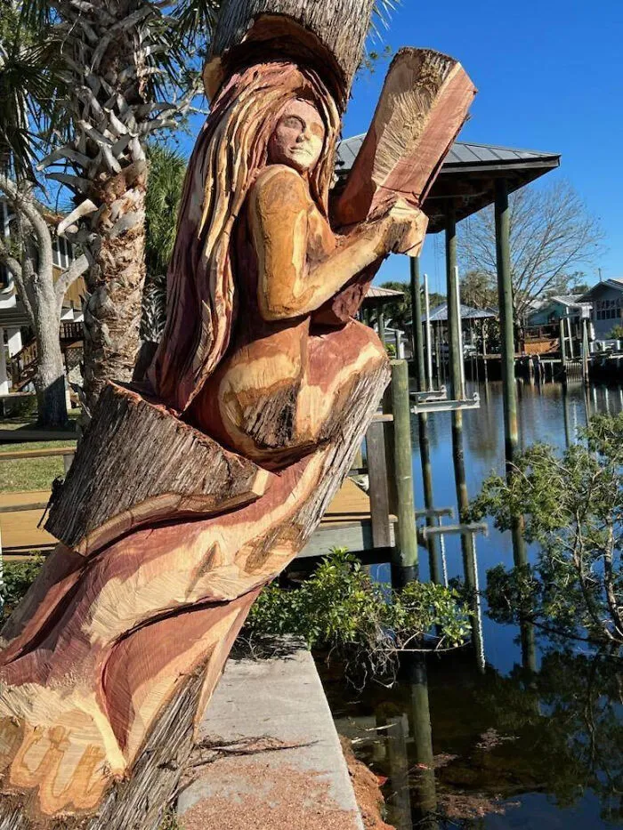 From Cedar Tree To Mermaid (5 Pics)