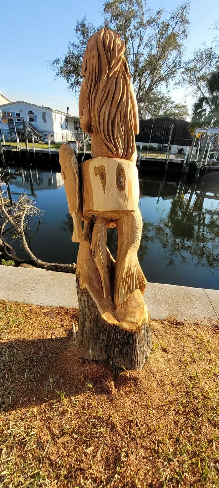 From Cedar Tree To Mermaid (5 Pics)