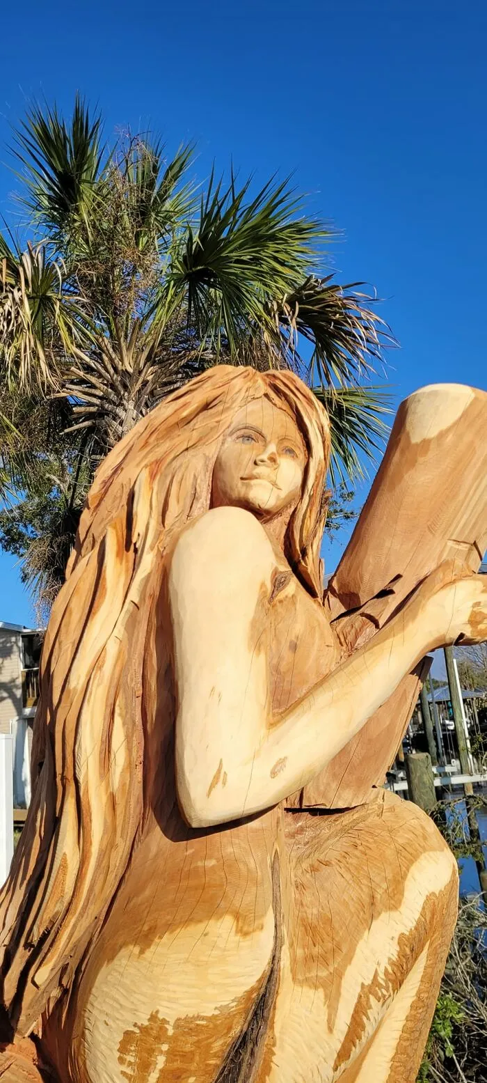 From Cedar Tree To Mermaid (5 Pics)