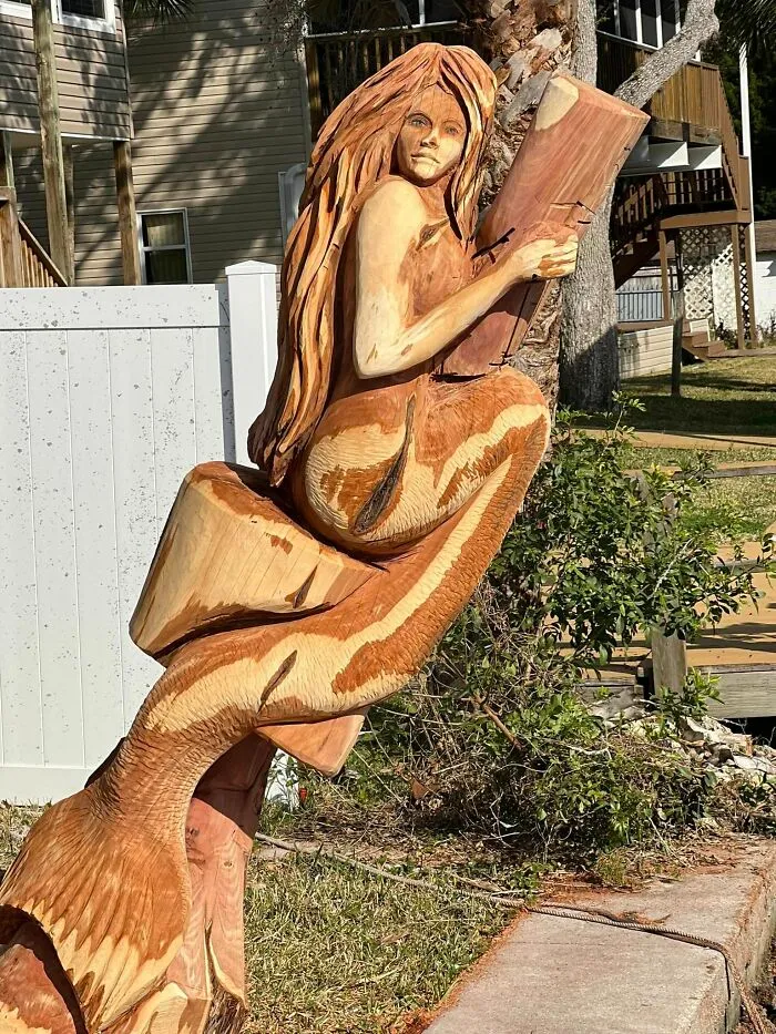 From Cedar Tree To Mermaid (5 Pics)