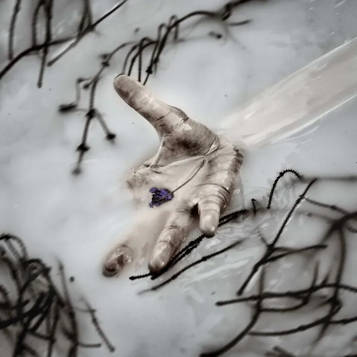 "Frost"
