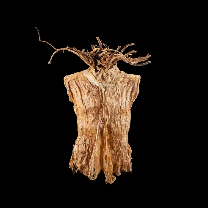 The Gods: "Medusa"