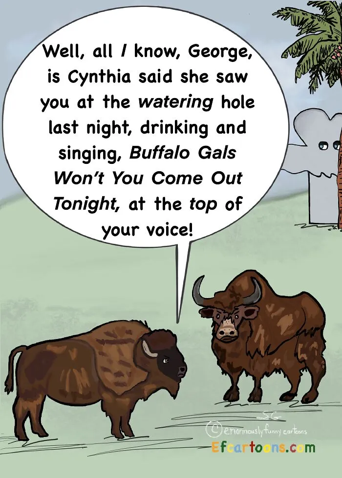 Buffalo Gals