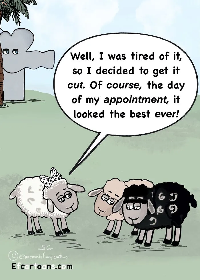 Haircut Day