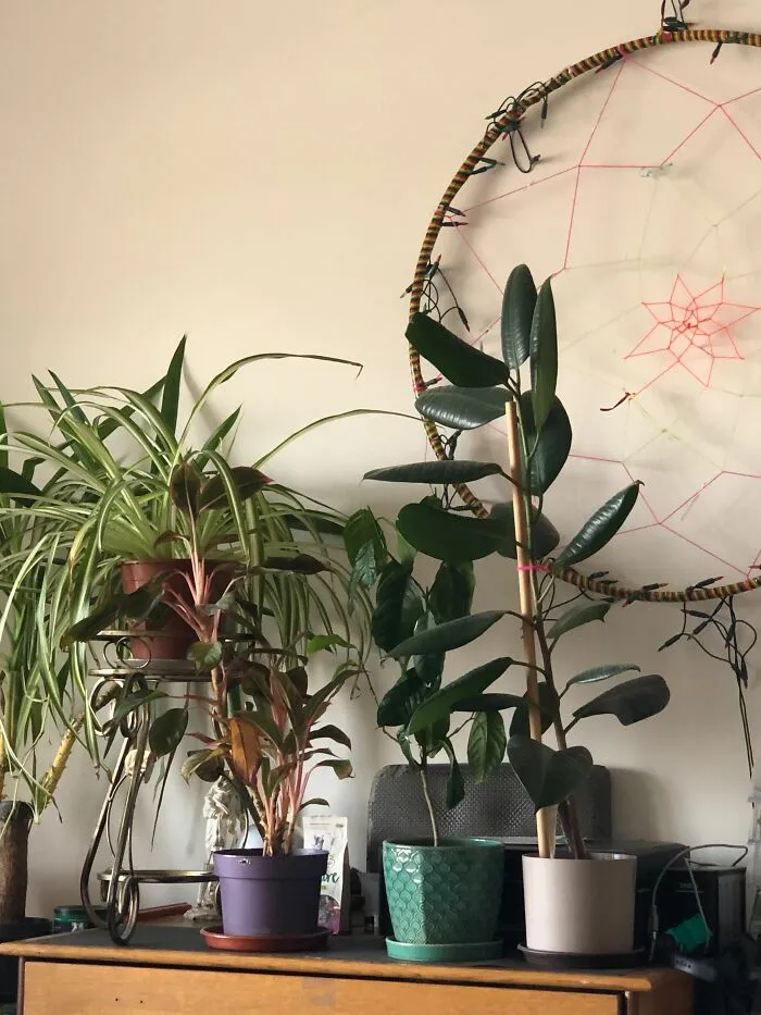 My Flower Corner