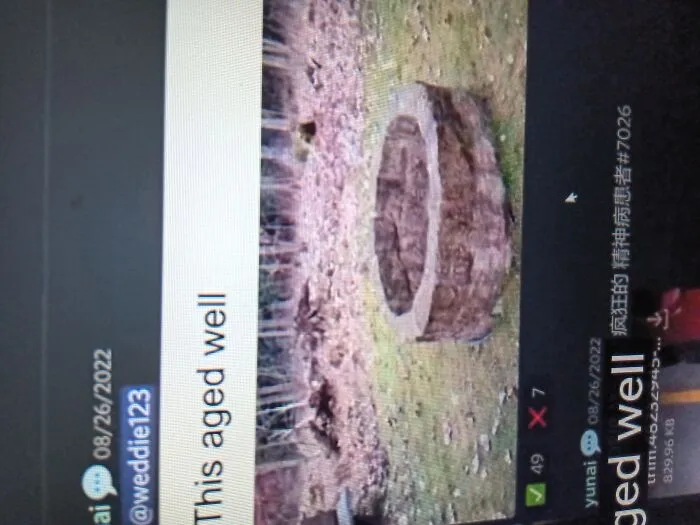 Why