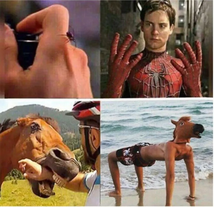 Memes