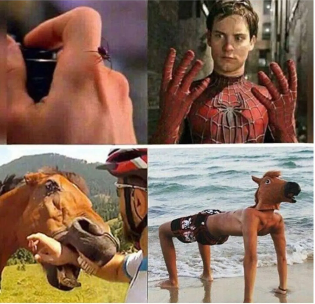 Hey Pandas Show Me Your Funniest Meme
